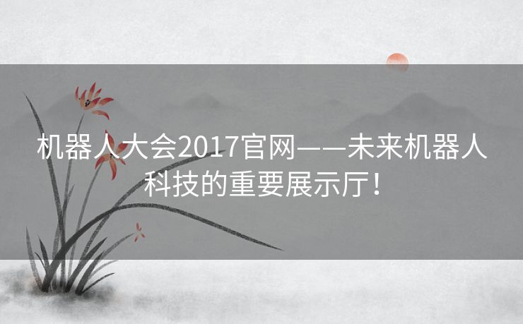 机器人大会2017官网——未来机器人科技的重要展示厅！