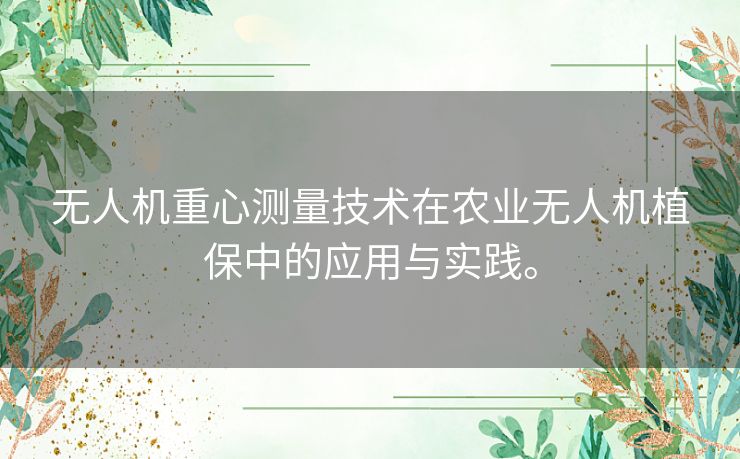 无人机重心测量技术在农业无人机植保中的应用与实践。