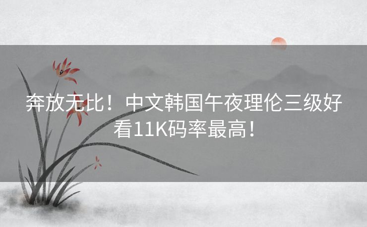 奔放无比！中文韩国午夜理伦三级好看11K码率最高！