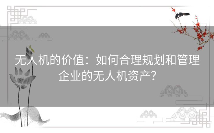 无人机的价值：如何合理规划和管理企业的无人机资产？