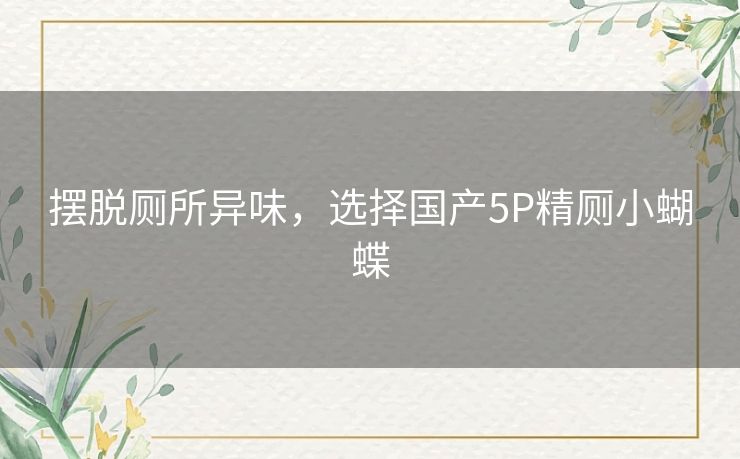 摆脱厕所异味，选择国产5P精厕小蝴蝶