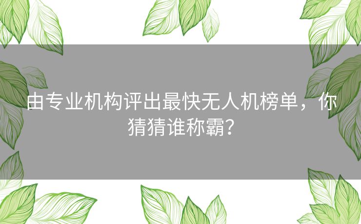 由专业机构评出最快无人机榜单，你猜猜谁称霸？