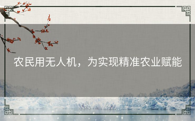 农民用无人机，为实现精准农业赋能