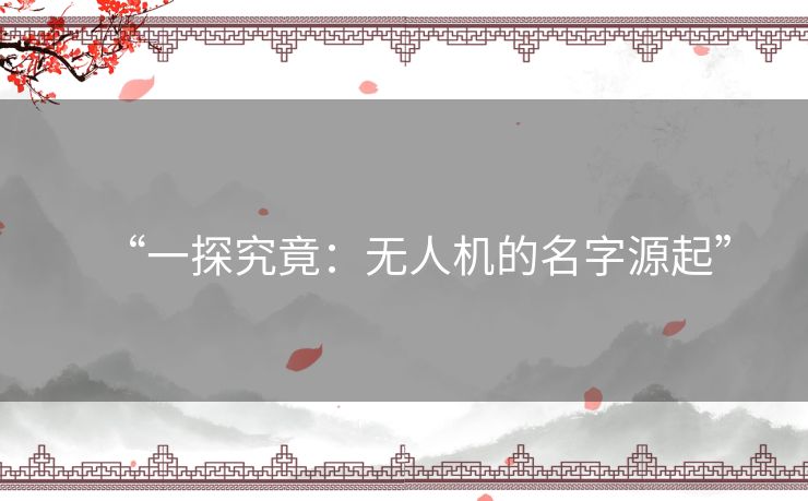 “一探究竟：无人机的名字源起”